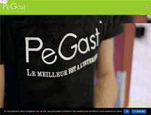 Tablet Screenshot of pegast.fr